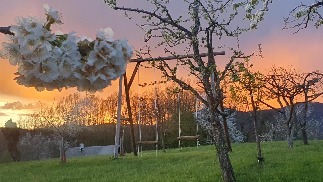 Vineyard Cottage Lan Na Hribu Semic Kültér fotó