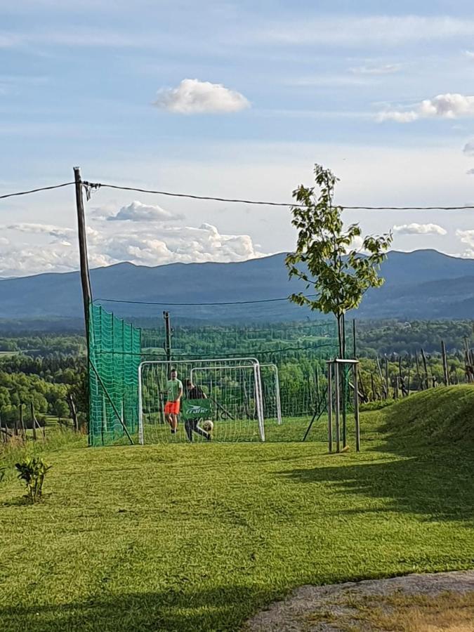 Vineyard Cottage Lan Na Hribu Semic Kültér fotó